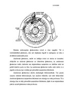 Konspekts 'Elektropārvades līnijas Latvijā', 4.