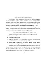 Konspekts 'Fiziskās aktivitātes, to nozīme bērna veselīgā attīstībā', 5.