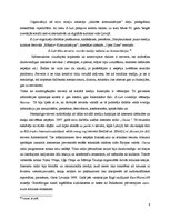 Referāts 'Interneta kultūras pirmsākumi', 6.