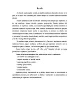 Referāts 'Uzņēmuma "Cēsu alus" finanšu analīze', 3.