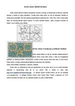 Referāts 'Krāsu redzes izvērtēšanas metodes', 5.