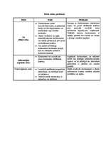 Referāts 'Atalgojumu sistēmas izstrāde', 3.