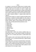 Referāts 'Atalgojumu sistēmas izstrāde', 4.