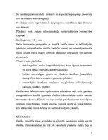 Konspekts 'Kaulu un locītavu aroda slimības', 2.