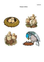 Konspekts 'Bērna runas un valodas izpēte pirmsskolas vecumā', 7.