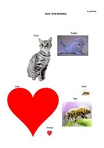 Konspekts 'Bērna runas un valodas izpēte pirmsskolas vecumā', 9.