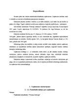 Biznesa plāns 'Pelmeņu kafejnīca', 3.