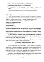 Biznesa plāns 'Pelmeņu kafejnīca', 5.