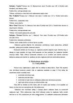 Biznesa plāns 'Pelmeņu kafejnīca', 9.