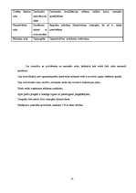 Biznesa plāns 'Pelmeņu kafejnīca', 14.