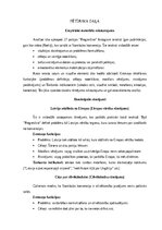 Referāts 'Stambulas konvencijas protestu rāmējums partijas “Progresīvie” Instagram publikā', 6.