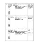 Referāts 'Stambulas konvencijas protestu rāmējums partijas “Progresīvie” Instagram publikā', 13.