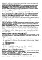 Paraugs 'Eksāmena atbildes, politikas zinātne', 2.