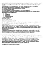 Paraugs 'Eksāmena atbildes, politikas zinātne', 5.