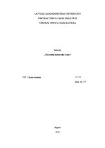 Referāts 'Černobiļas katastrofas sekas', 1.
