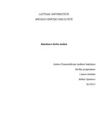 Referāts 'Bakalaura darbu analīze', 1.