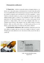 Referāts 'Homeopātija', 5.