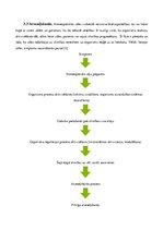 Referāts 'Homeopātija', 6.