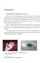 Referāts 'Homeopātija', 7.