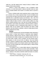 Prakses atskaite 'Prakses pārskats tiešās pārdošanas uzņēmumā', 12.