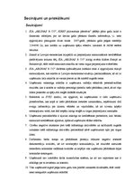 Prakses atskaite 'Prakses pārskats tiešās pārdošanas uzņēmumā', 47.
