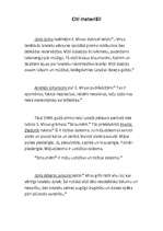 Referāts 'E.Virza A.Eglīša romānā "Pansija pilī"', 10.