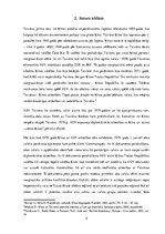 Referāts 'Ķīna un ASV no Taivānas skatījuma', 4.