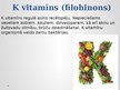 Prezentācija 'Vitamīni', 19.