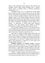 Diplomdarbs 'Uzņēmuma vadīšana pārmaiņu apstākļos', 23.