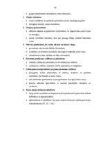 Diplomdarbs 'Uzņēmuma vadīšana pārmaiņu apstākļos', 26.