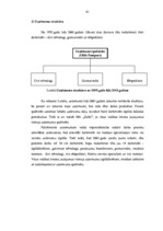 Diplomdarbs 'Uzņēmuma vadīšana pārmaiņu apstākļos', 41.