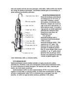 Referāts 'Lēcas', 7.