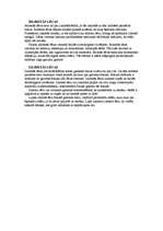 Referāts 'Lēcas', 9.