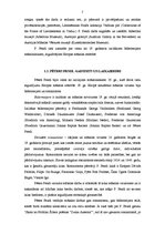 Referāts 'Peters Fendi "Skats no Frīdriha Šillera poēmas "Zvana dziesma""', 5.