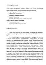 Referāts '“Olympic Casino Latvia” darbības pilnveide', 11.