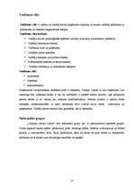 Referāts '“Olympic Casino Latvia” darbības pilnveide', 14.