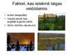 Prezentācija 'Taiga', 4.