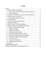 Paraugs 'Finanšu rādītāji', 2.