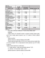 Paraugs 'Finanšu rādītāji', 7.