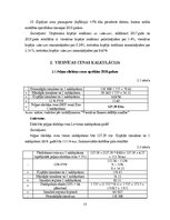 Paraugs 'Finanšu rādītāji', 15.