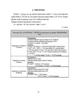 Paraugs 'Finanšu rādītāji', 29.