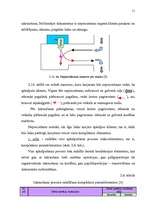Diplomdarbs 'Ekonomiski efektīvākā maršruta plānošanas iespējas', 51.