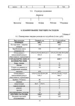 Biznesa plāns 'Предварительное технико-экономическое обоснование предприятия по установке стекл', 10.