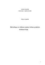 Referāts 'Mārketinga un reklāmas nozīme tūrisma produkta virzīšanai tirgū', 1.