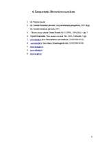 Referāts 'Mārketinga un reklāmas nozīme tūrisma produkta virzīšanai tirgū', 9.