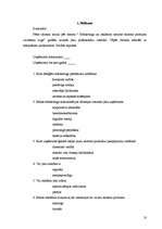 Referāts 'Mārketinga un reklāmas nozīme tūrisma produkta virzīšanai tirgū', 10.