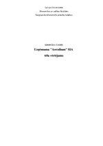 Referāts 'Uzņēmuma "Aerodium" SIA tēla vērtējums', 1.