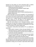 Referāts 'Eiro ieviešanas ietekme Latvijā', 16.