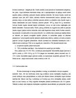 Referāts 'Eiro ieviešanas ietekme Latvijā', 33.