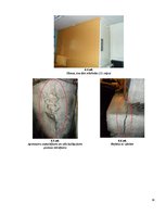 Referāts 'Būves apsekošana un tehniskā stāvokļa novērtēšana', 14.